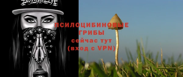 spice Алексеевка