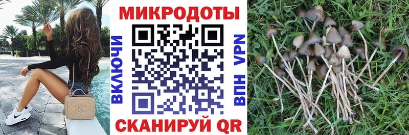 darknet состав  закладки  Покров  Галлюциногенные грибы GOLDEN TEACHER 